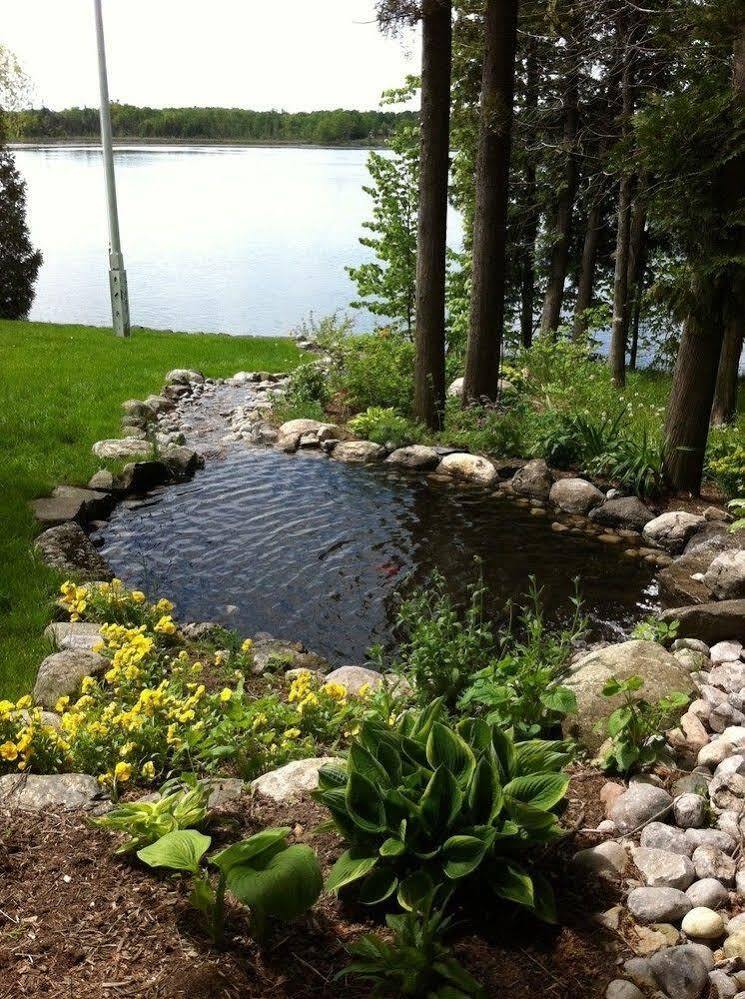 温德斯维普特住宿加早餐旅馆 Campbellford 外观 照片